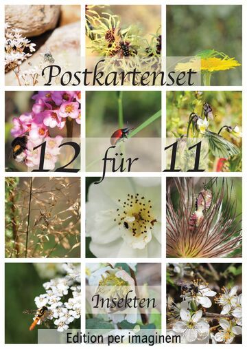 Postkartenset: 12 für 11 "Insekten"